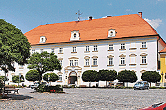 Schloss in Tyn