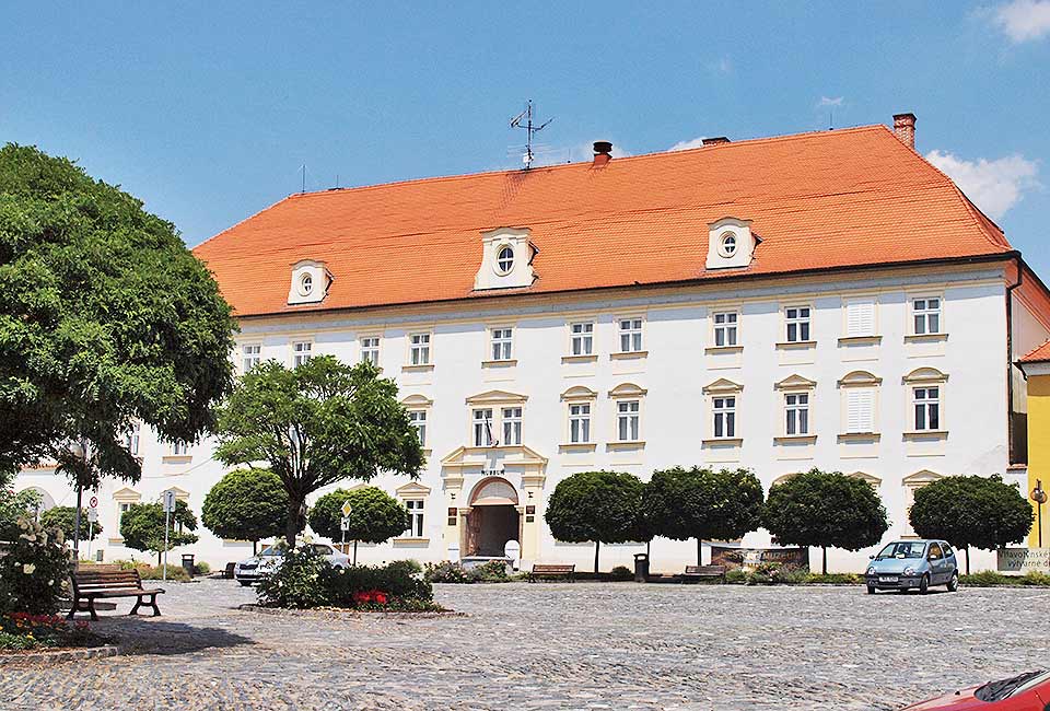 Schloss in Tyn