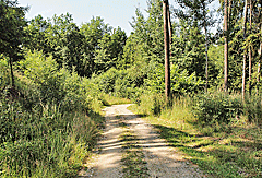 Radweg im Böhmerwald