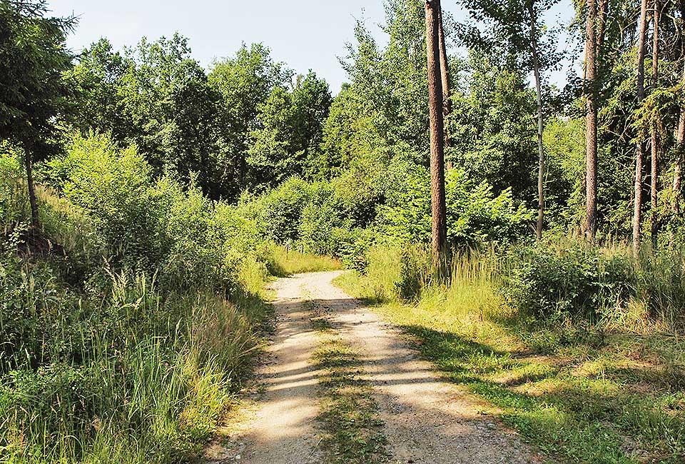 Radweg im Böhmerwald