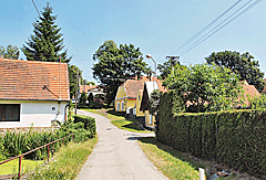 In Dedovice