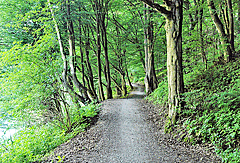 Radweg an der Otava