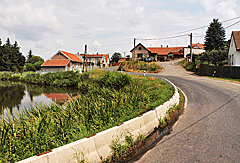 Dorfweiher in Mokrsko