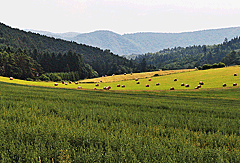 Blick auf das Moldautal