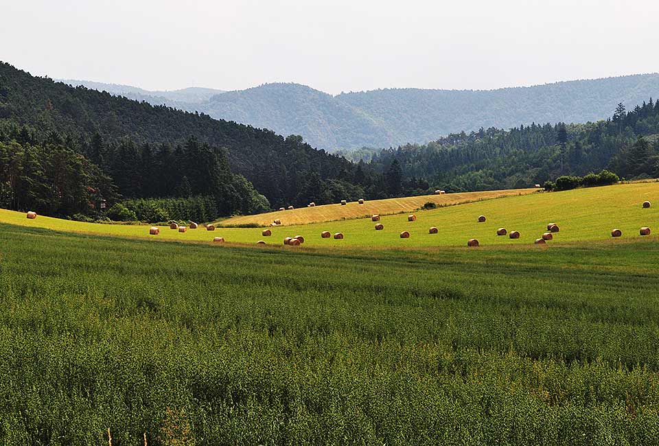 Blick auf das Moldautal