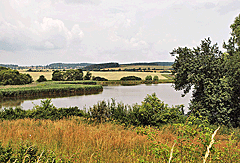 See bei