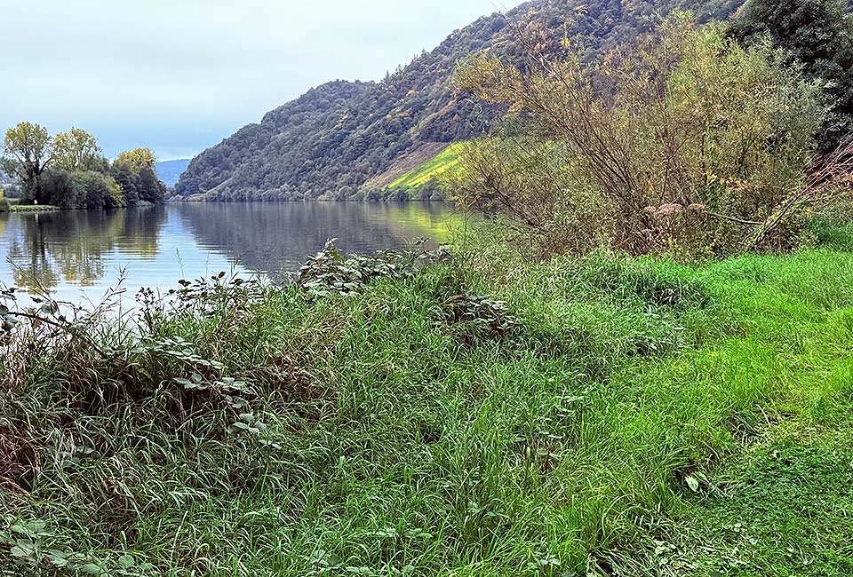 Schöner Radweg