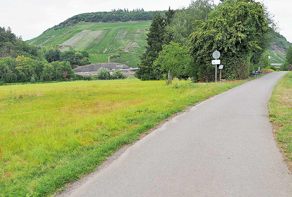 Der Rudemberg bei Thörnich