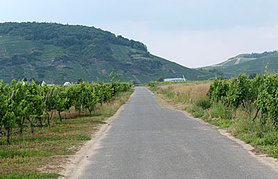 "Rudemberg" bei "Th&ouml;rnich"