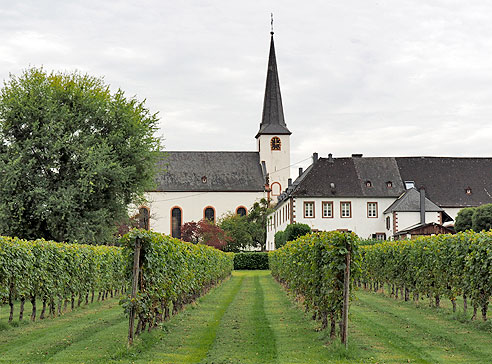 Kirche und Weingüter in Longuich