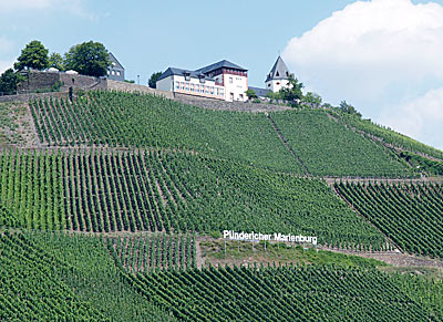 Marienburg oberhalb der Mosel