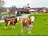 Empfang in Obersöchering