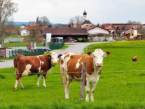 Empfang in Obersöchering