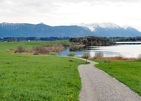 Blick auf den Riegsee