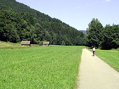 Vor Klosterreichenbach