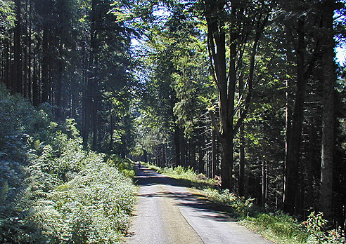 Bergab auf Zubringerweg