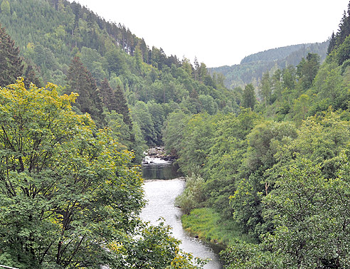 Blick auf die Murg