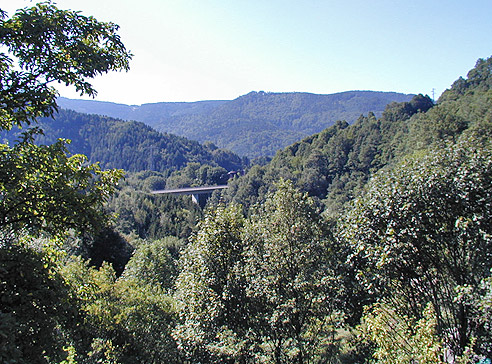 Oberhalb von Langenbrand