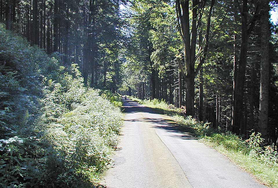 Bergab auf Zubringerweg
