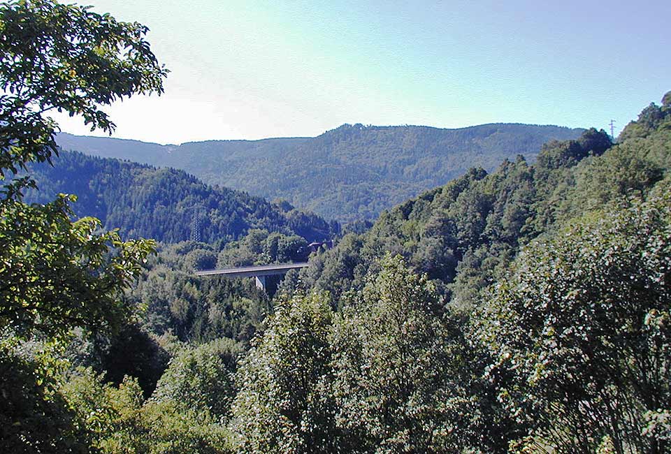 Oberhalb von Langenbrand