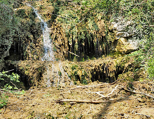 Kalksinter am kleinen Bach