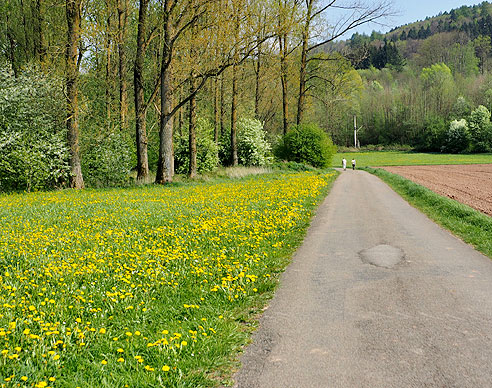 Radweg nach Sulzbach