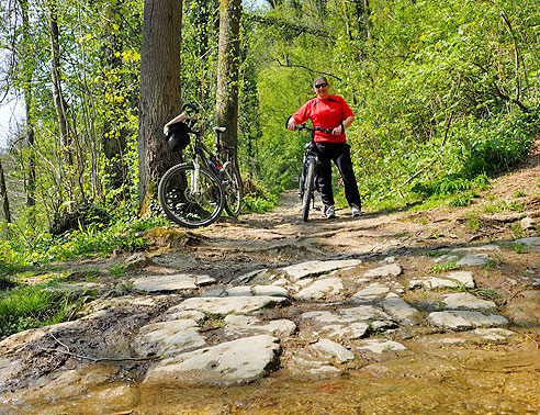 Kalksinter am kleinen Bach