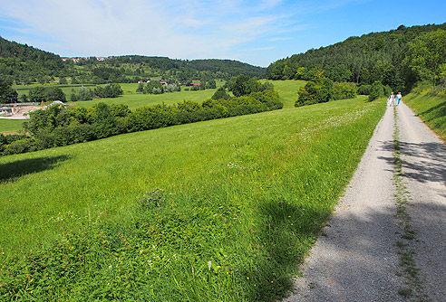 Naturbelassene Wege im Würmtal