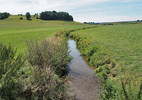 St. Marien in Ehingen