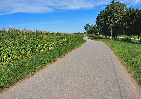 Radweg neben der Straße