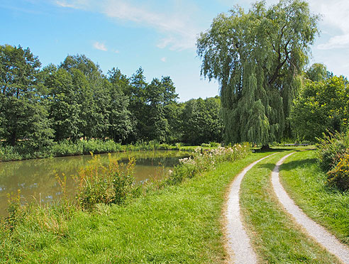 Fischweiher an der Würm