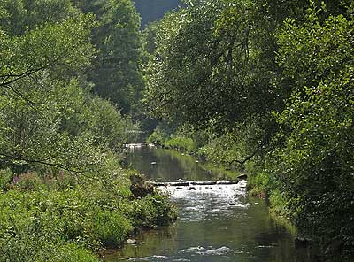 Schöne Blicke auf Nagold