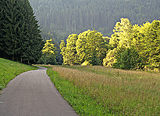Idyllischer Weg durchs Tal