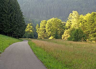 Idyllischer Weg durchs Tal