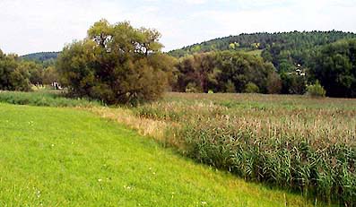 Talacker