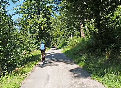 Traumhafter Weg vor Bad Liebenzell