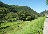 Nagoldtal nach Hirsau