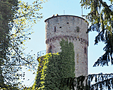 Burgruine Hohennagold