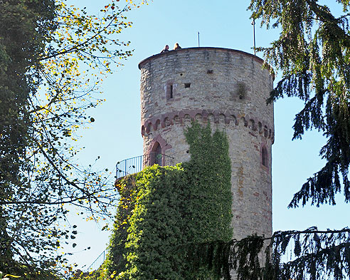 Burgruine Hohennagold