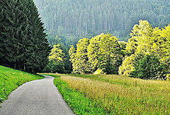 Idyllischer Weg durchs Tal