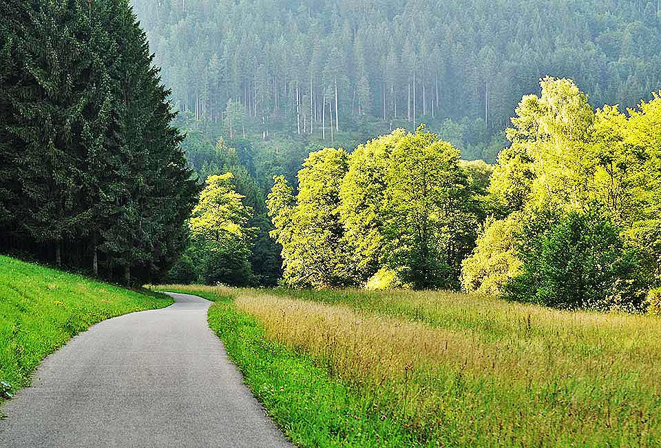 Idyllischer Weg durchs Tal