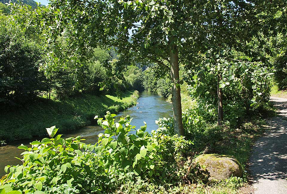 Radweg an der Nagold