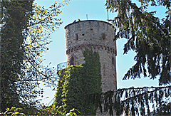 Burgruine Hohennagold
