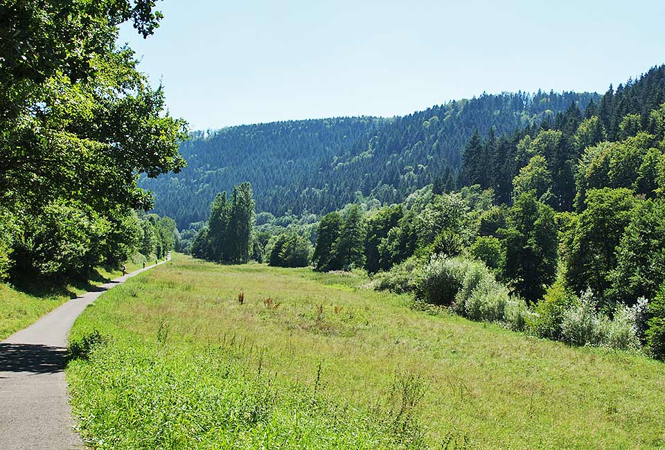 Schöner Talblick Nagold: