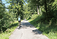Traumhafter Weg vor Bad Liebenzell