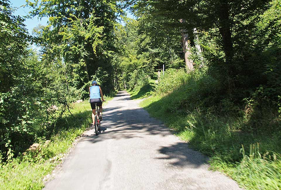 Traumhafter Weg vor Bad Liebenzell
