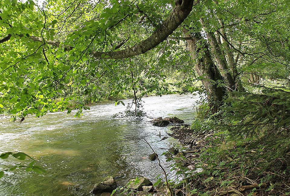 Wilde Nagold - Schwarzwald wie aus dem Bilderbuch
