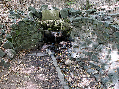 Die Nahequelle bei Selbach