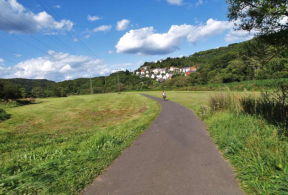 Frauenfeld am Hang