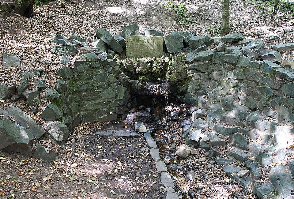 Die Nahequelle bei Selbach Die Nahequelle bei Selbach